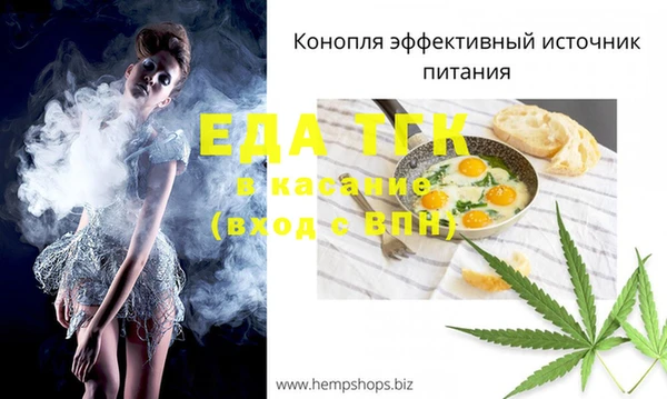 дмт Краснослободск
