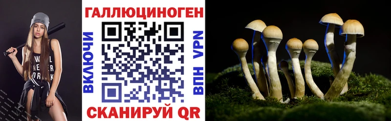 Галлюциногенные грибы мицелий  Юхнов 